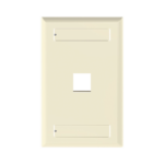 Placa de Pared Vertical, Salida Para 1 Puerto Keystone, Con Espacios Para Etiquetas, Color Marfil
