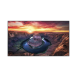 Pantalla Profesional LED de 65", UHD 4K (3840x2160p), Entradas de Video HDMI/DisplayPort, Bocinas Integradas de 10 W. Compatible VESA. Modo de Simulación DICOM