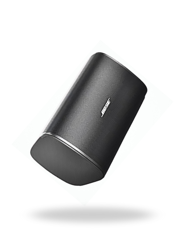 Altavoz de Pared Profesional Bose DesignMax DM8S | 8"