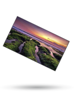 Pantalla Profesional LED 55” UHD 4K (3840x2160p)