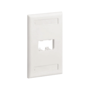 Placa de Pared Vertical Cl?sica, Salida Para 2 Puertos Mini-Com, Con Espacios Para Etiquetas, Color Blanco Mate