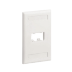 Placa de Pared Vertical Cl?sica, Salida Para 2 Puertos Mini-Com, Con Espacios Para Etiquetas, Color Blanco Mate