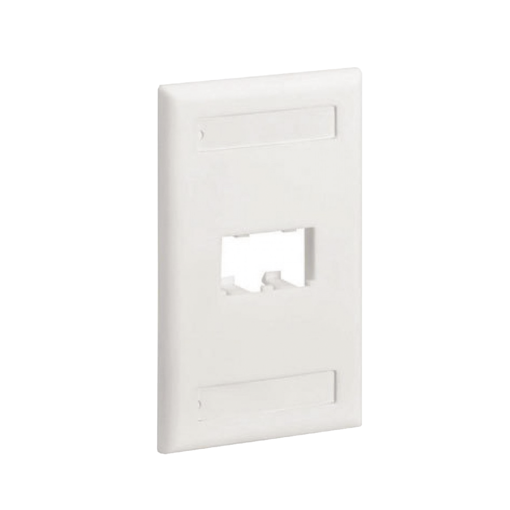 Placa de Pared Vertical Cl?sica, Salida Para 2 Puertos Mini-Com, Con Espacios Para Etiquetas, Color Blanco