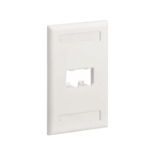 Placa de Pared Vertical Cl?sica, Salida Para 2 Puertos Mini-Com, Con Espacios Para Etiquetas, Color Blanco