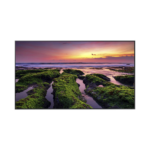 Pantalla Profesional LED de 65", UHD 4K (3840x2160p) / Entradas de Video HDM / Bocinas Integradas de 10 W. Compatible VESA / compatible con MagicInfo
