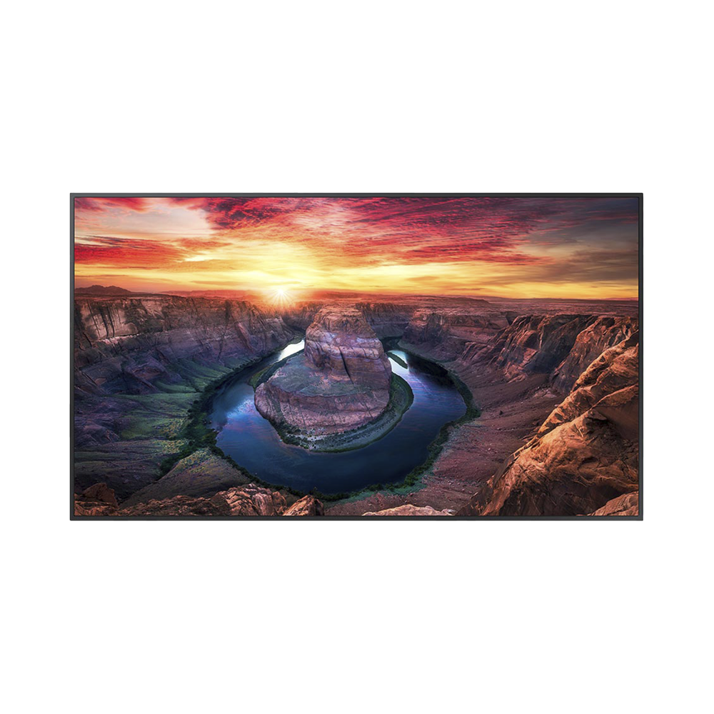 Pantalla Profesional LED de 65", UHD 4K (3840x2160p), Entradas de Video HDMI/DisplayPort, Bocinas Integradas de 10 W. Compatible VESA. Modo de Simulación DICOM
