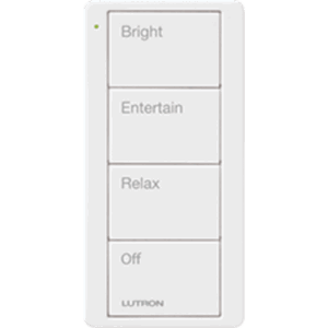 Control remoto inalambrico PICO, con escenas predefinidas para espacio en sala..