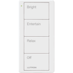 Control remoto inalambrico PICO, con escenas predefinidas para espacio en sala..